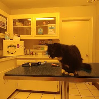 Casa Linda Animal Clinic