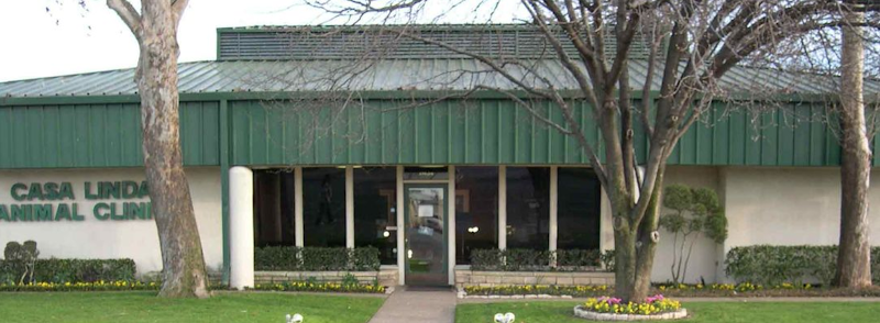Casa Linda Animal Clinic
