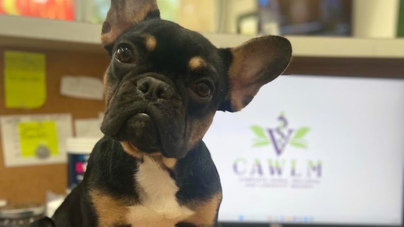 CAWLM Veterinary Hospital + Spa