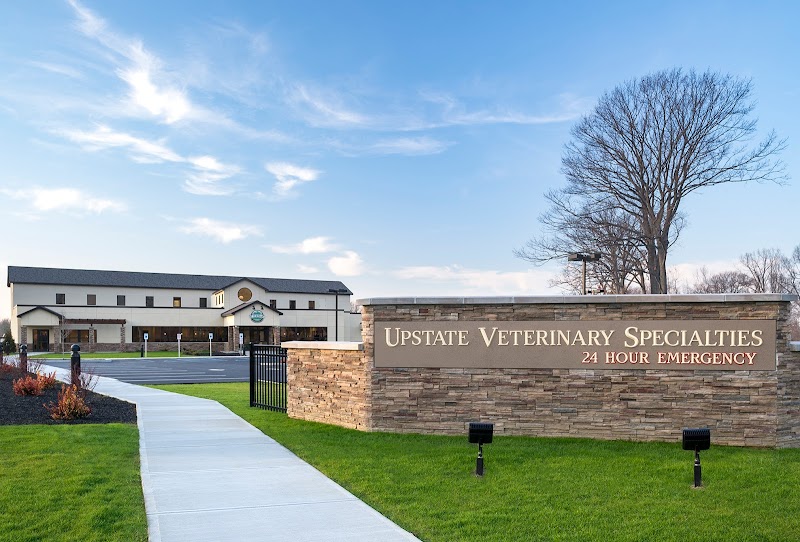 Upstate Veterinary Specialties