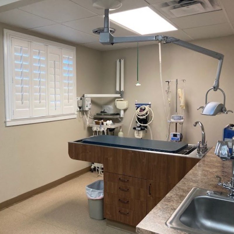 Pet Wellness Clinic LLC