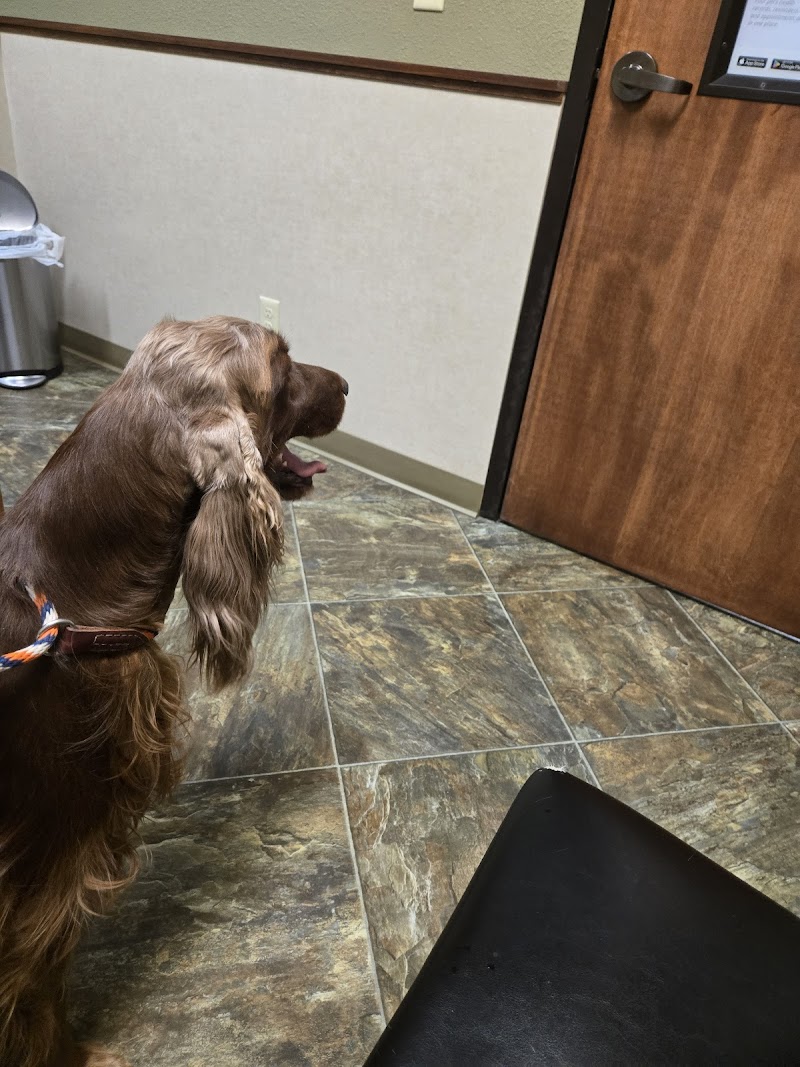 Pet Wellness Clinic LLC