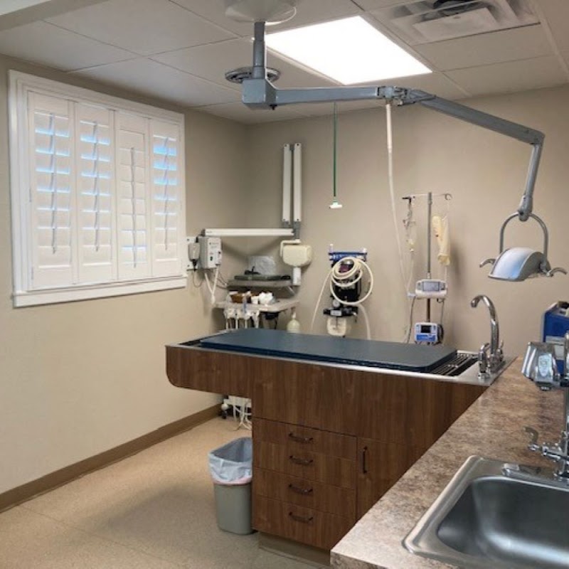 Pet Wellness Clinic LLC