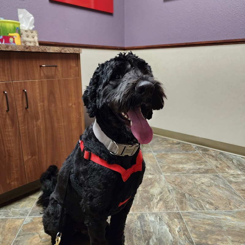 Pet Wellness Clinic LLC