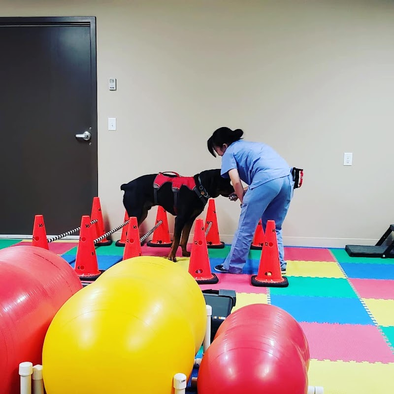 Pet Wellness Clinic LLC