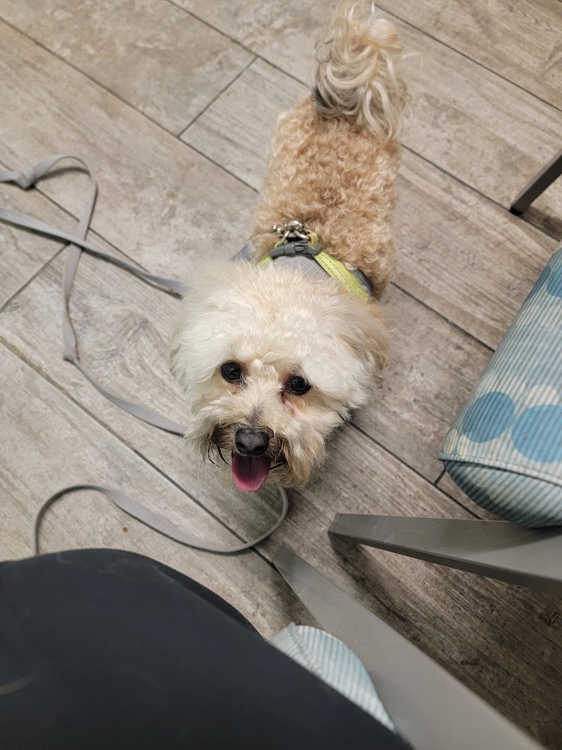 VCA Everett Animal Hospital