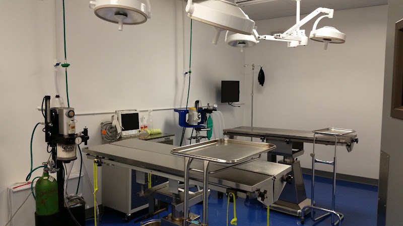 Animal Outpatient Surgery of San Diego and Blue Sky Veterinary Services, Inc.