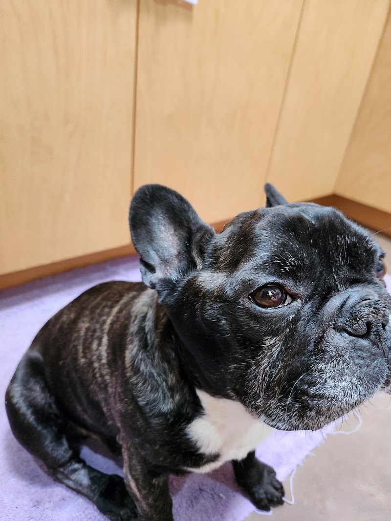 Veterinary Neurological Center