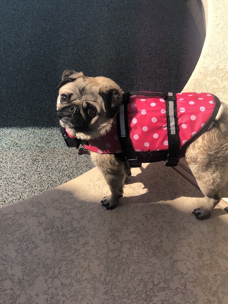 Veterinary Neurological Center