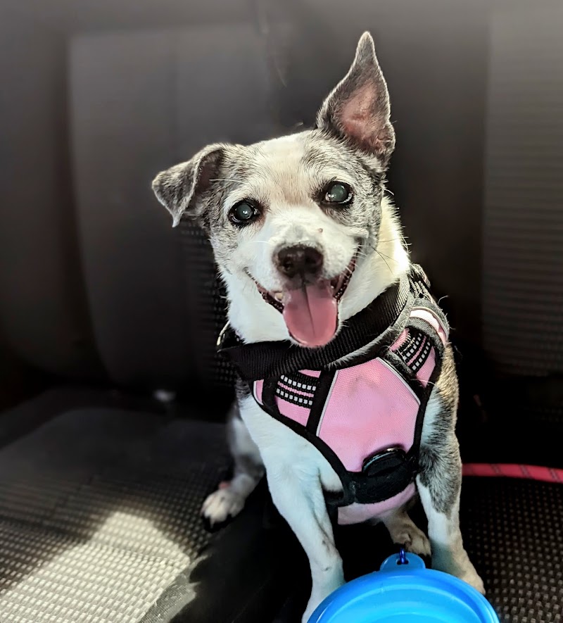 Veterinary Neurological Center