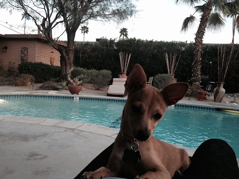 Rancho Park Veterinary Clinic