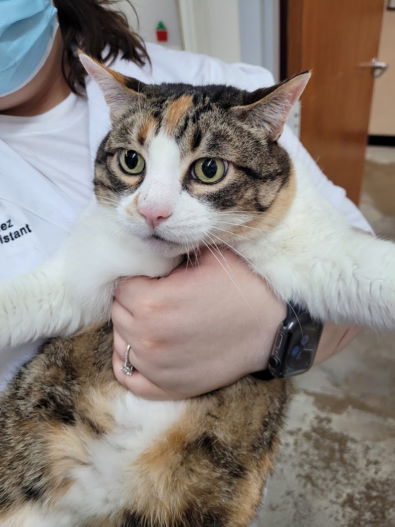 Chastain Veterinary Medical Group - Preston Road Animal Hospital