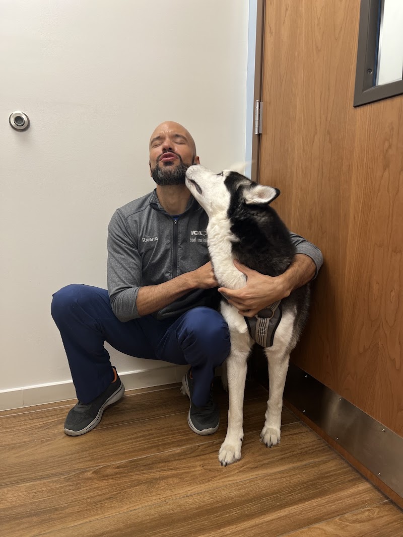 VCA Brickell Animal Hospital