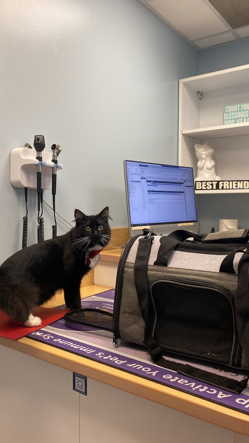 VCA Brickell Animal Hospital