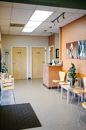 Solano-Napa Pet ER Clinic