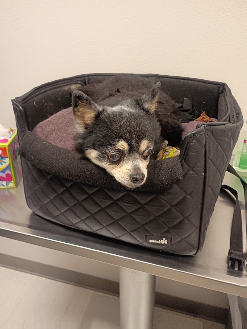 Solano-Napa Pet ER Clinic