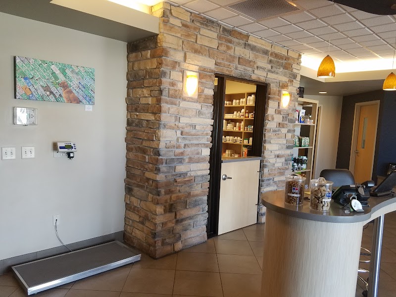 VIDA Veterinary Care - Denver
