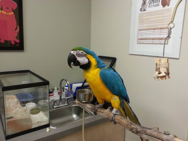 VIDA Veterinary Care - Denver