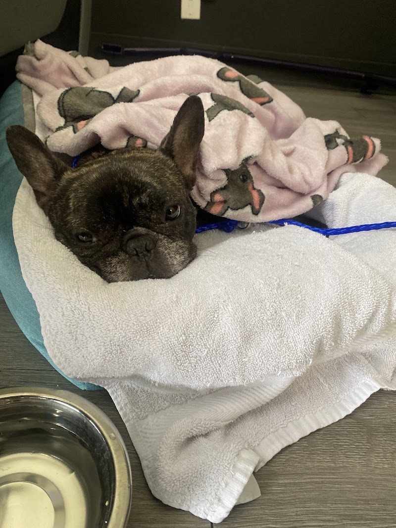 North Durham Animal Hospital