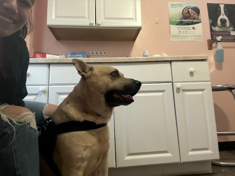North Durham Animal Hospital