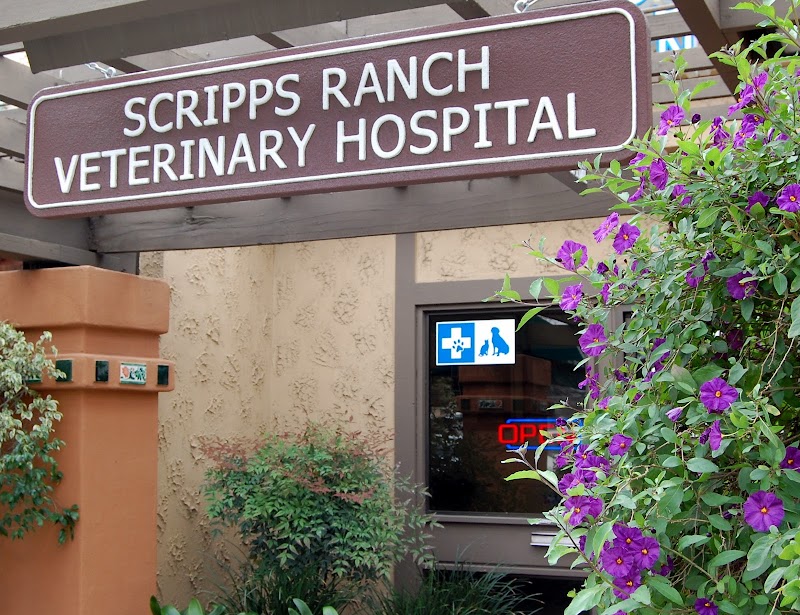 Scripps Ranch Veterinary Hospital