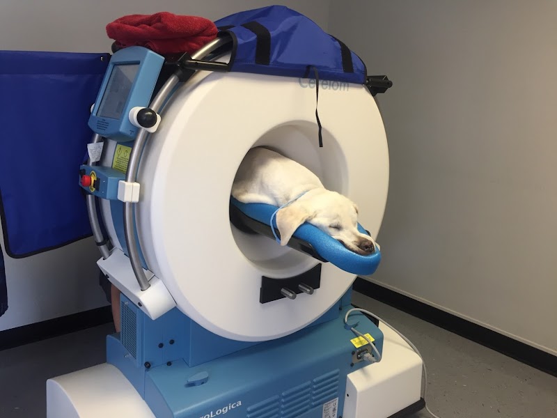 VetCTscan