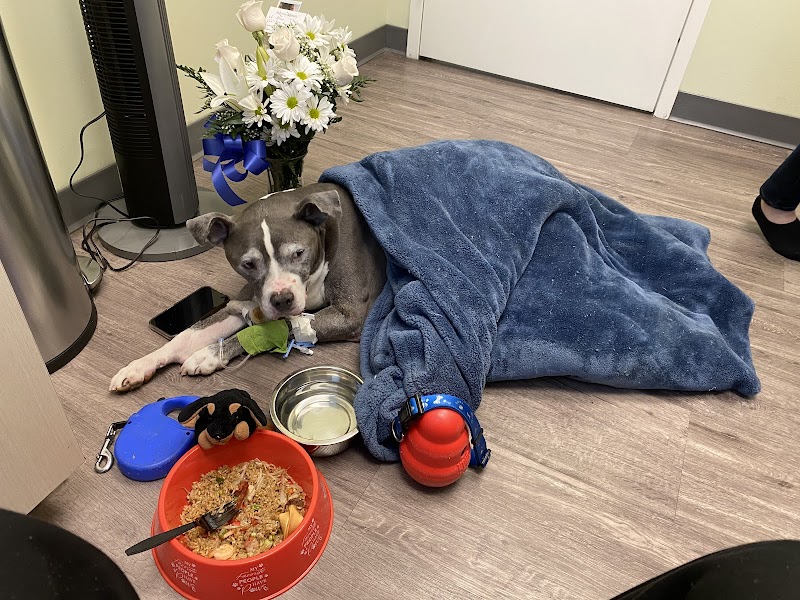 Metropolitan Animal Emergency and Specialty Center