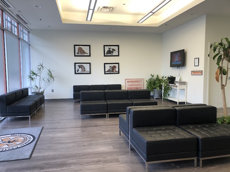 Metropolitan Animal Emergency and Specialty Center