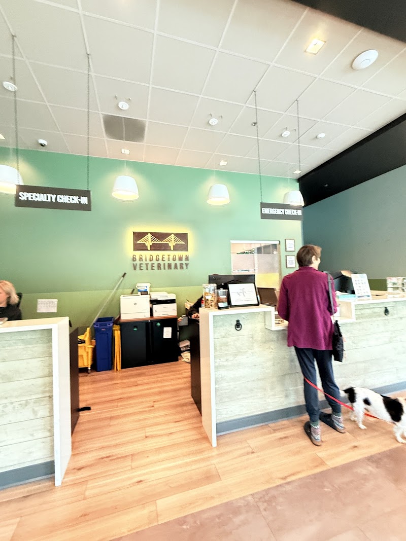 Bridgetown Veterinary Emergency + Referral