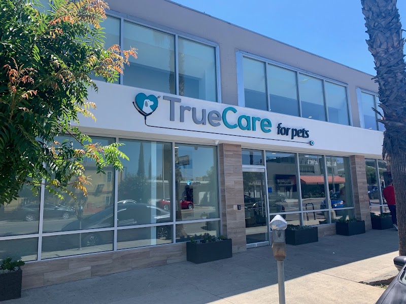 Dr. Emilie Chaplow, DVM Internal Medicine - TrueCare For Pets