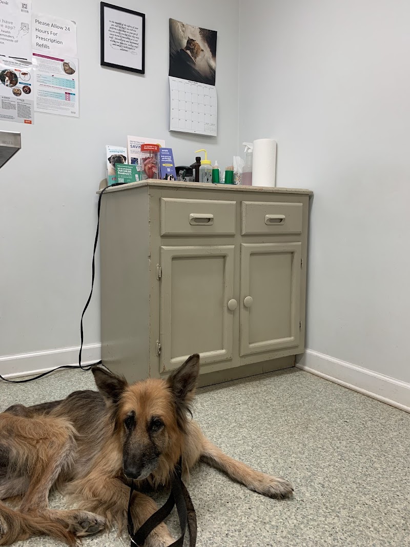 Auburn Animal Hospital