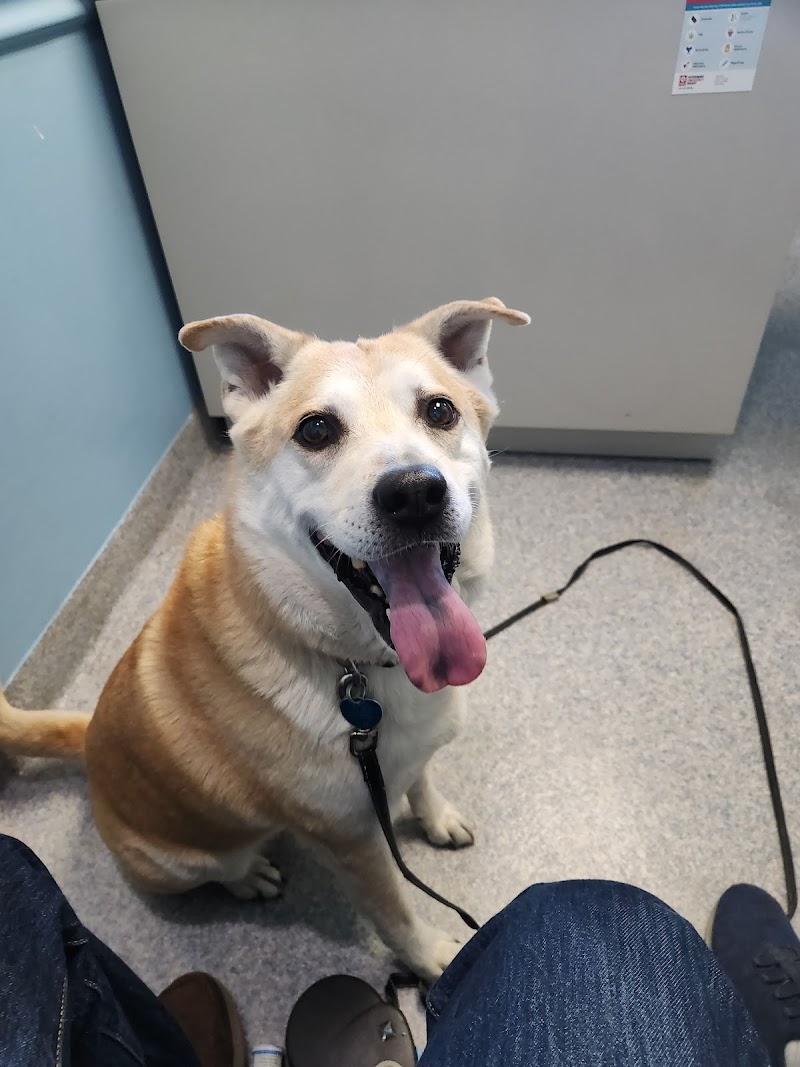 Animal Health Care Denver