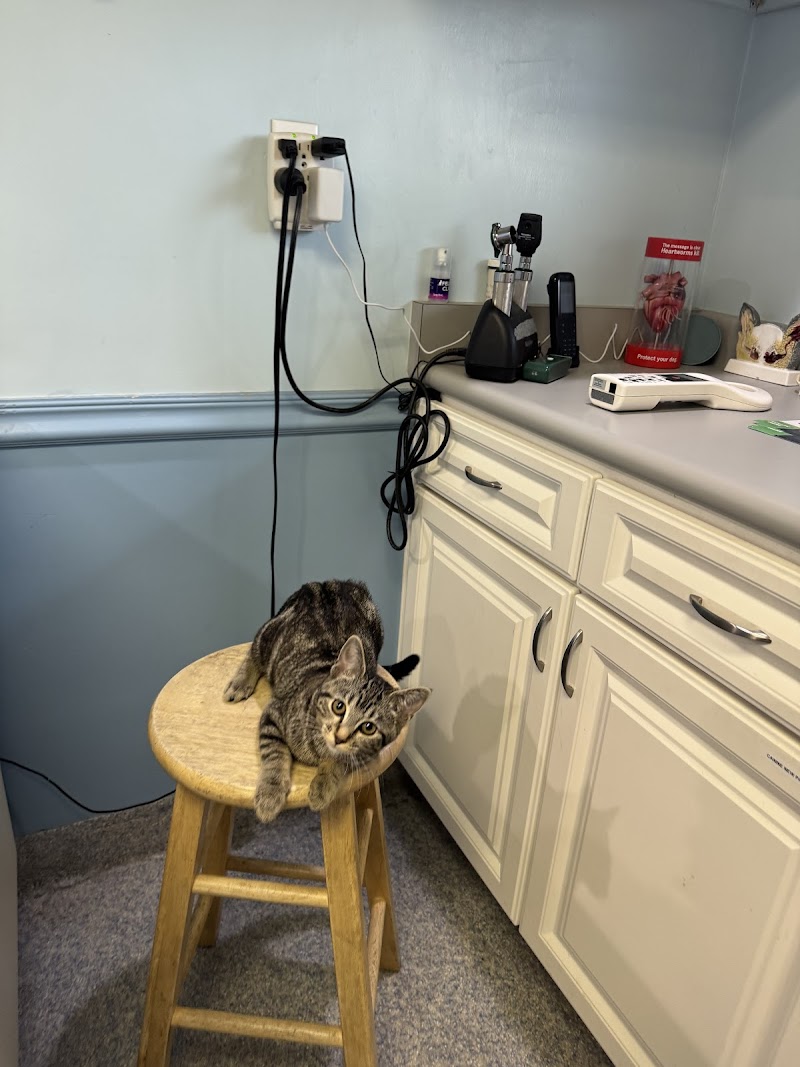 Animal Health Care Denver