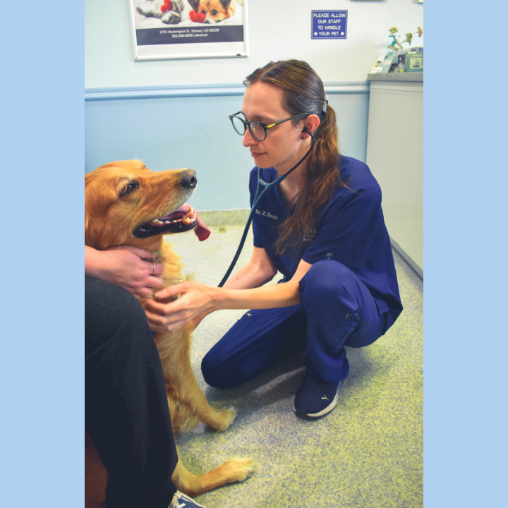 Animal Health Care Denver