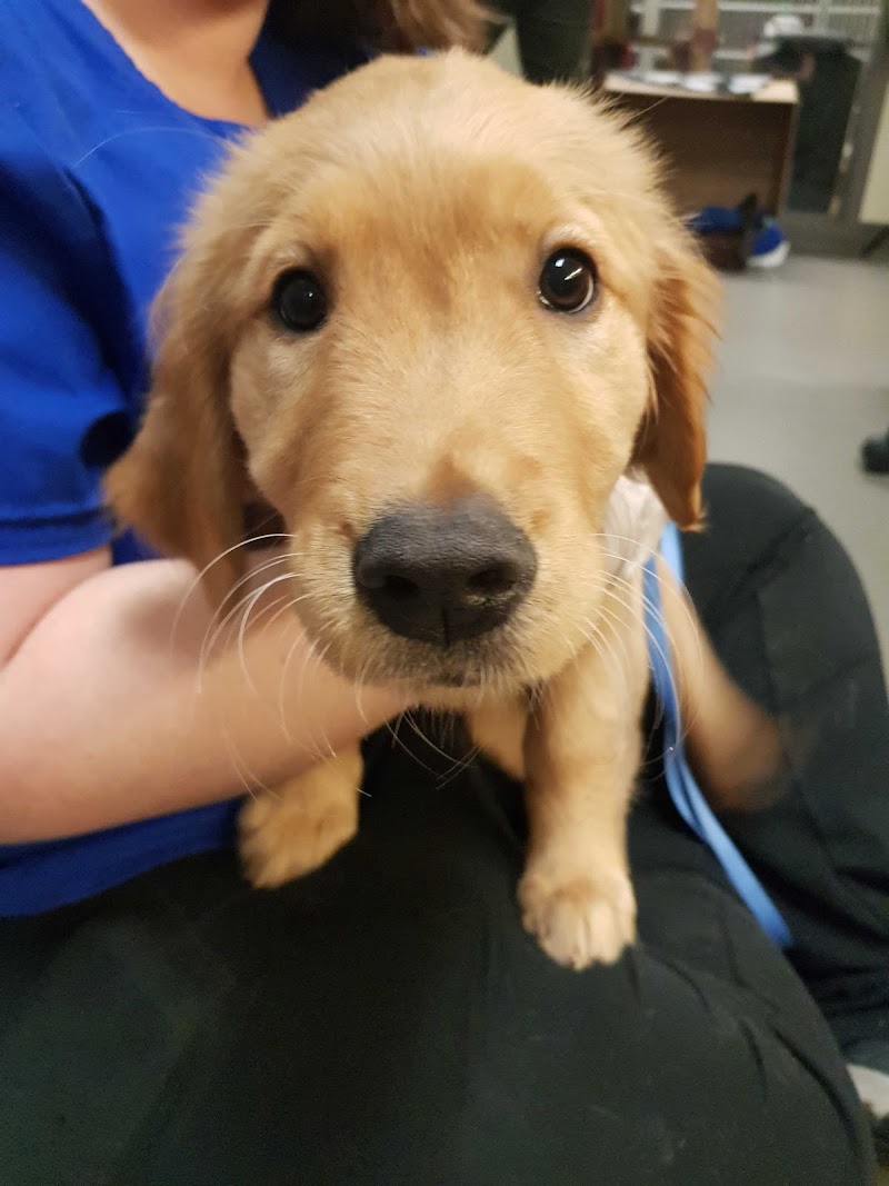 North Seattle Veterinary Clinic