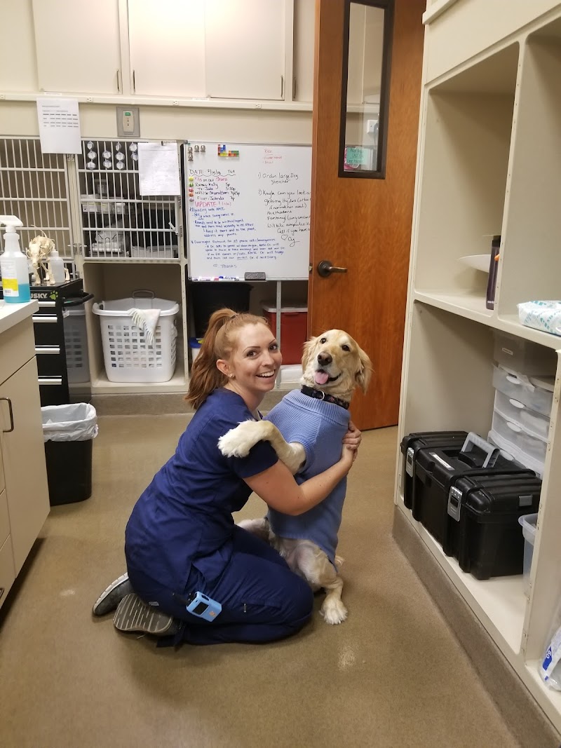 Thrive Pet Healthcare Specialists North Scottsdale