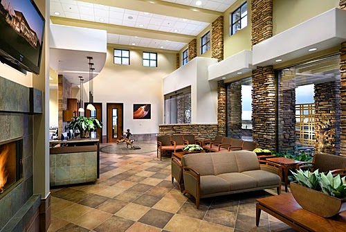 Thrive Pet Healthcare Specialists North Scottsdale