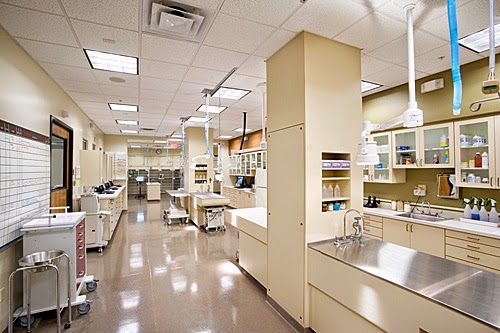 Thrive Pet Healthcare Specialists North Scottsdale