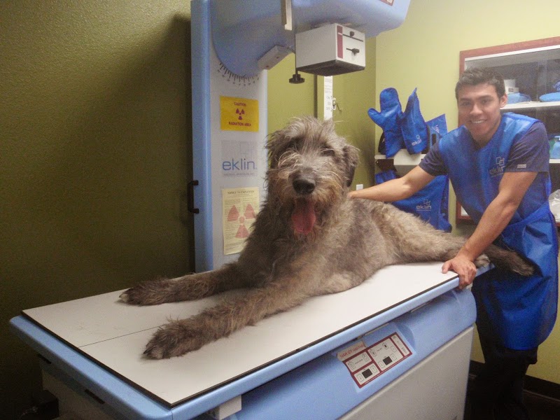 ER4PETS
