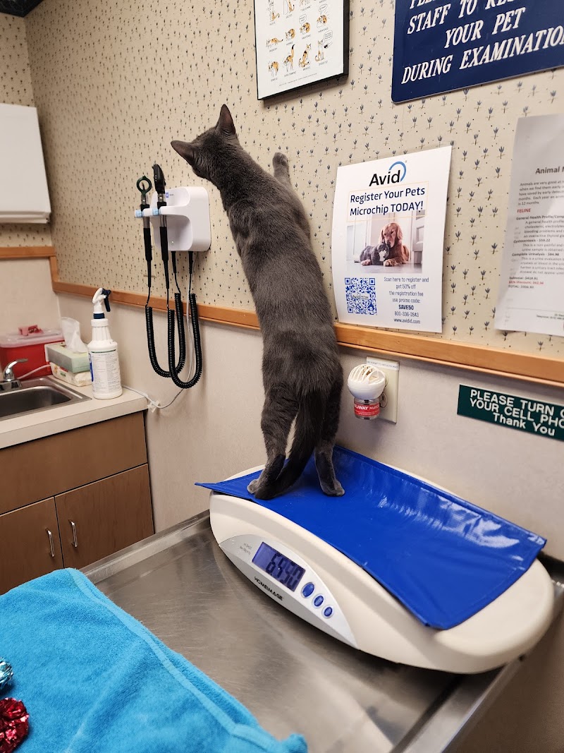 Animal Medical Center