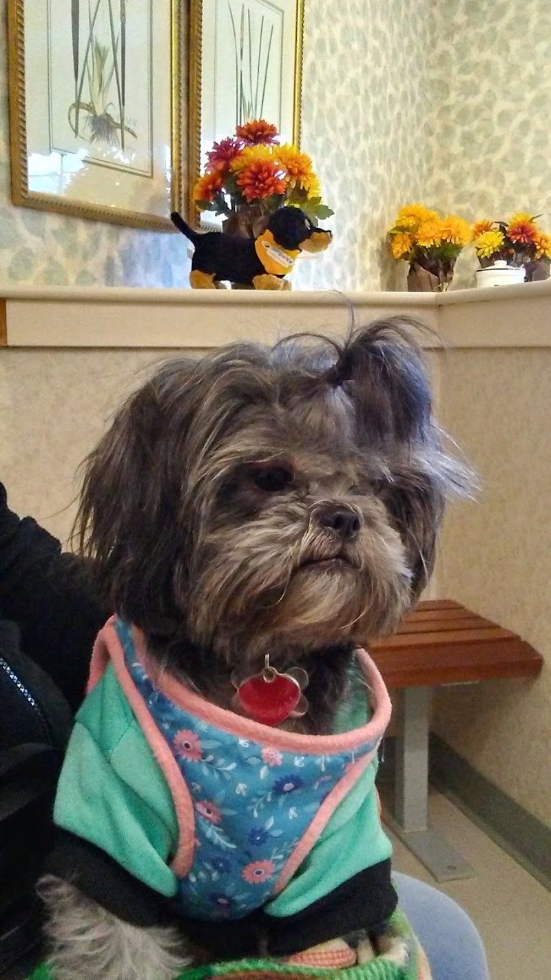 Animal Medical Center