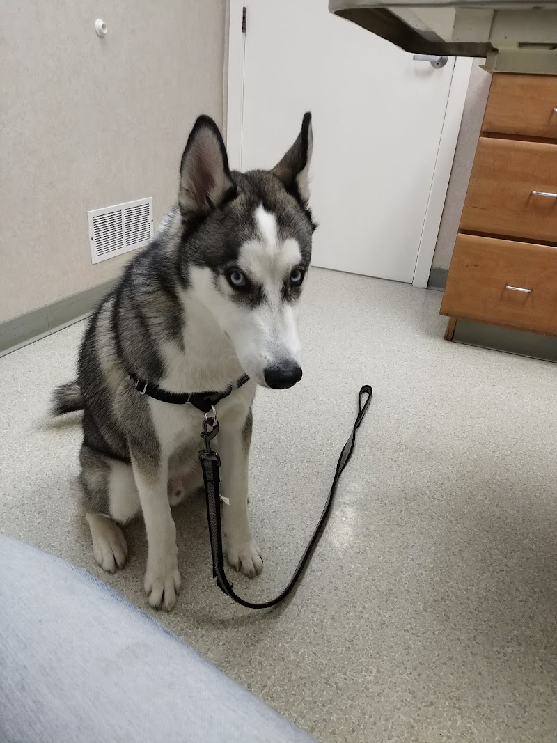 Animal Medical Center