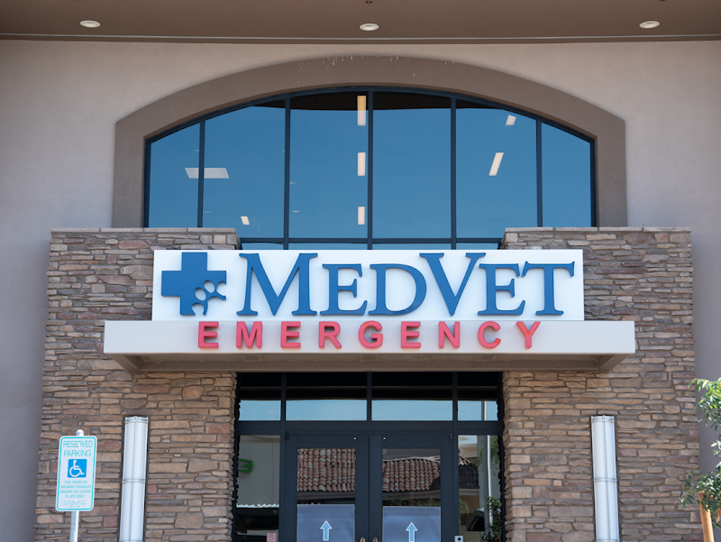 MedVet Phoenix