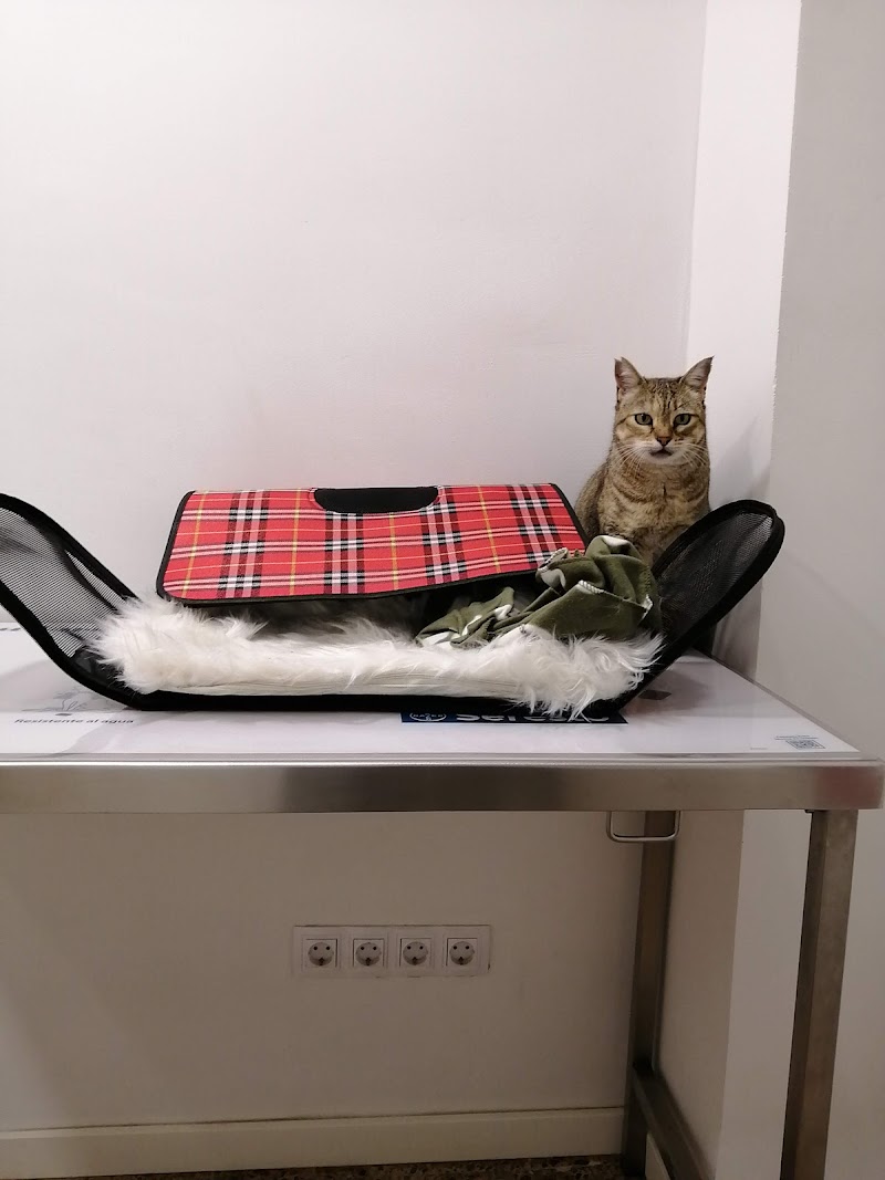 VeteriNou Clínica Veterinària