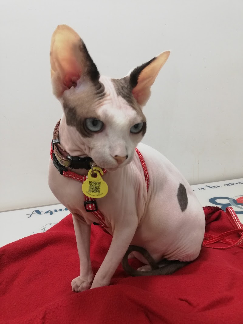 VeteriNou Clínica Veterinària