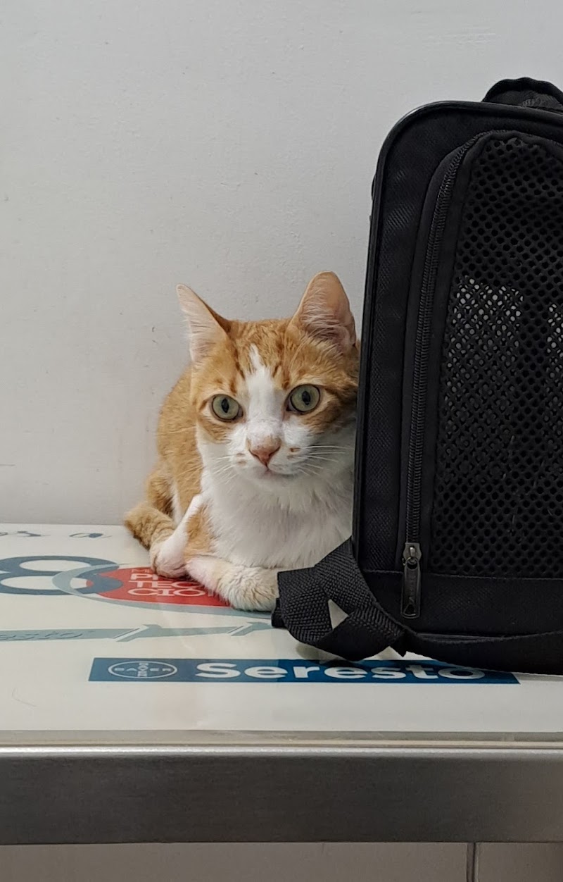 VeteriNou Clínica Veterinària
