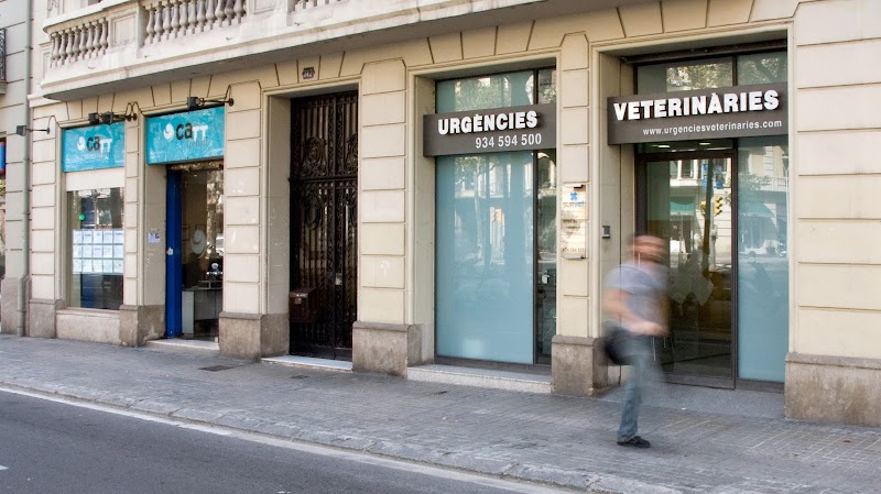 SURvet Hospital Veterinari d'Urgències 24h