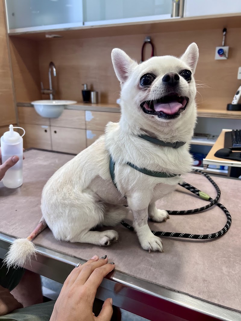 SURvet Hospital Veterinari d'Urgències 24h