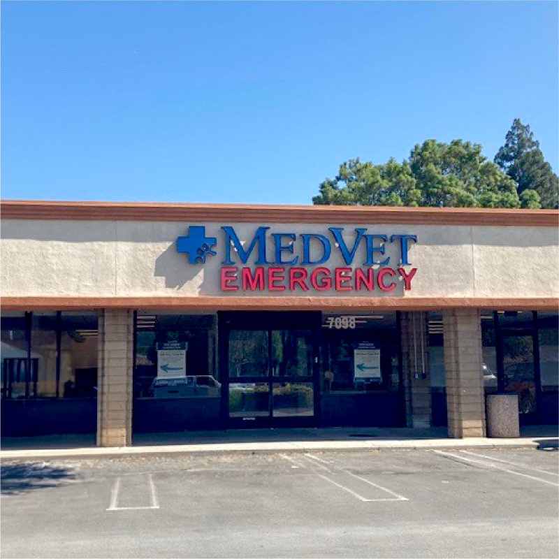 MedVet Silicon Valley