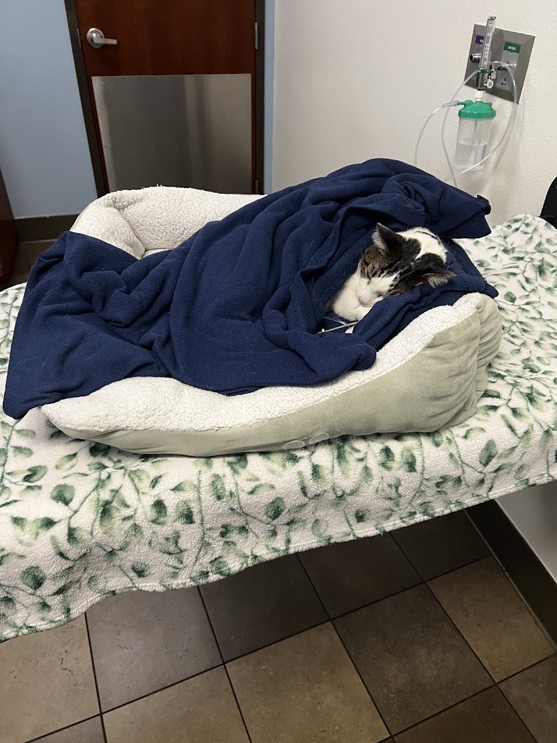 VCA PetCare East Veterinary Hospital